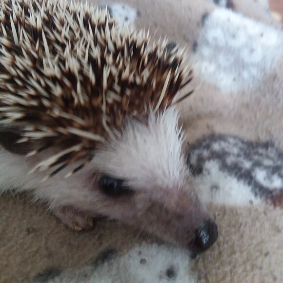 Meet your Posher, Christine - Picture 8 of 9